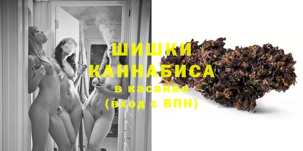 дурь Няндома