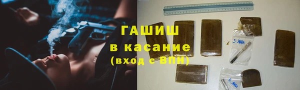молекула духа Новозыбков