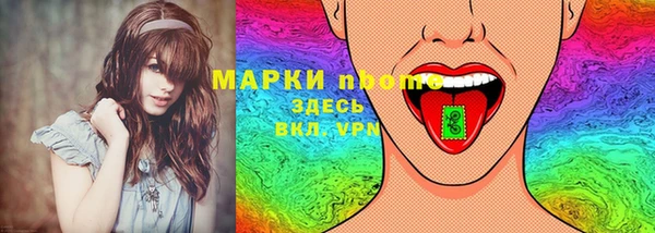 дурь Няндома
