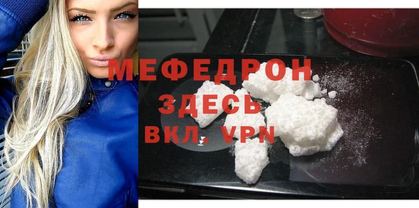 дурь Няндома