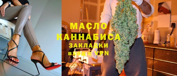 дурь Няндома